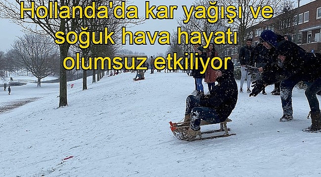 Hollanda'da kar yağışı ve soğuk hava hayatı olumsuz etkiliyor