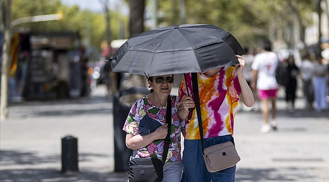 2024 Bevestigd als "Het Warmste Jaar" Ooit