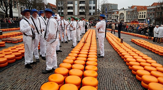 Hollanda'nın 120 bin nüfuslu peynir merkezi Alkmaar