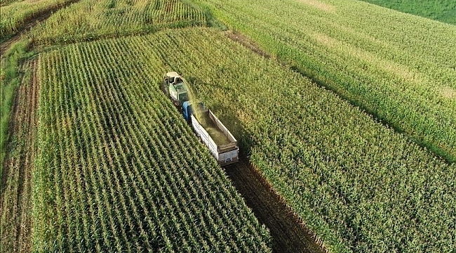 Turkije en Verenigd Koninkrijk breiden vrijhandelsovereenkomst uit voor landbouwproducten